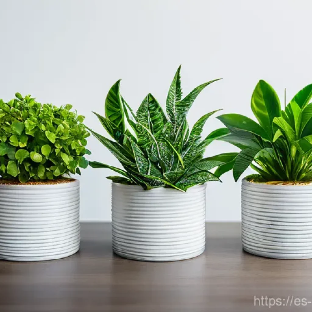 퓨전 패스트푸드 인기 브랜드 랭킹 - Here are three detailed image prompts for generation, strictly adhering to your guidelines: