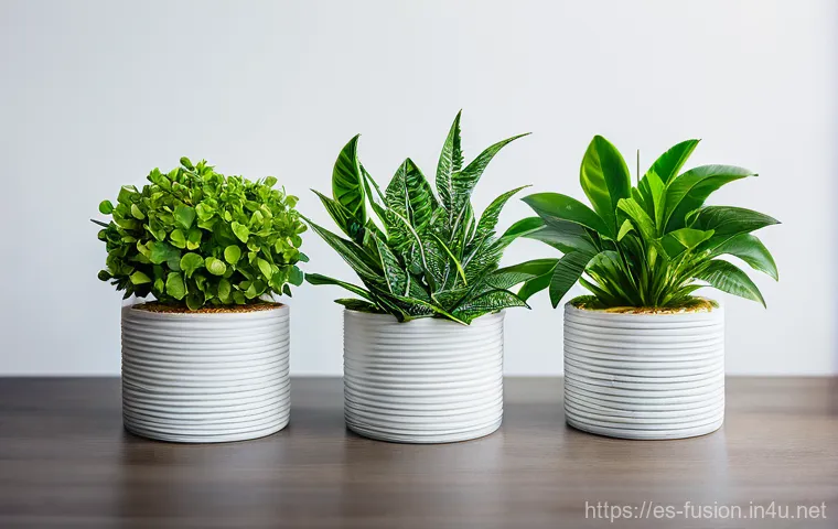 퓨전 패스트푸드 인기 브랜드 랭킹 - Here are three detailed image prompts for generation, strictly adhering to your guidelines: