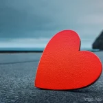 Home 11 퓨전 치킨 포장 방법 리뷰 - Here are three detailed image generation prompts in English, designed to be 15+ appropriate and free...